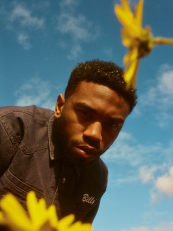 Kevin_Abstract_01-350x466