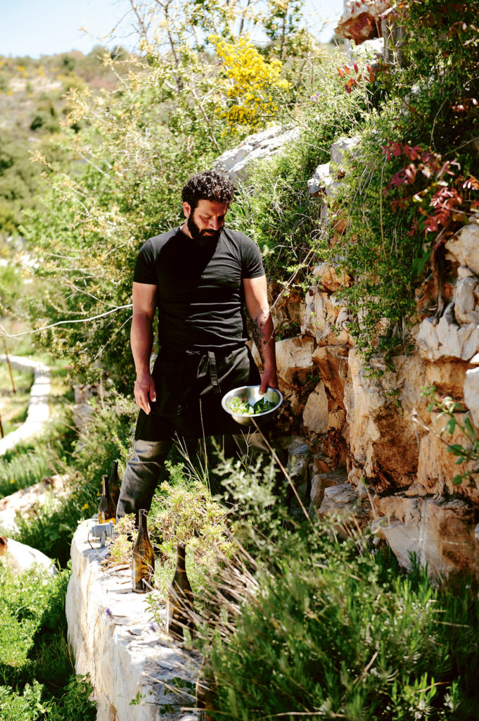 In_the_Vinyards_of_Lebanon_01-scaled