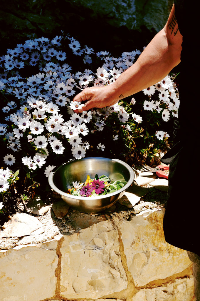 In_the_Vinyards_of_Lebanon_05-681x1024