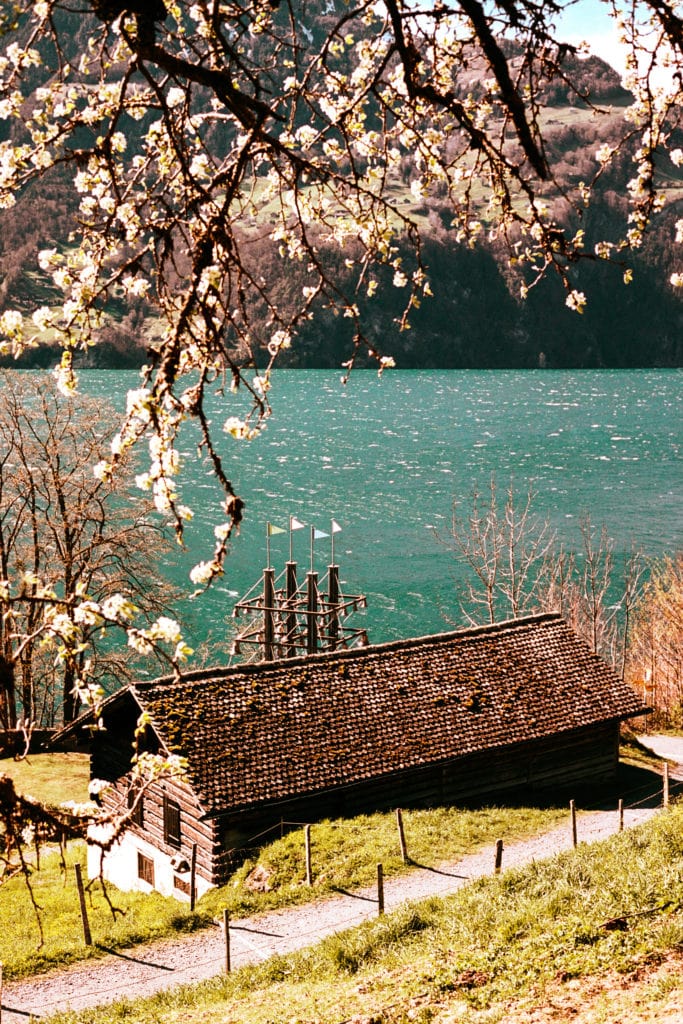 Urnersee 강둑에 있는 이 오두막 뒤에 있는 종 구조는 일반적으로 키보드를 통해 작동되는 악기인 카리용이다.