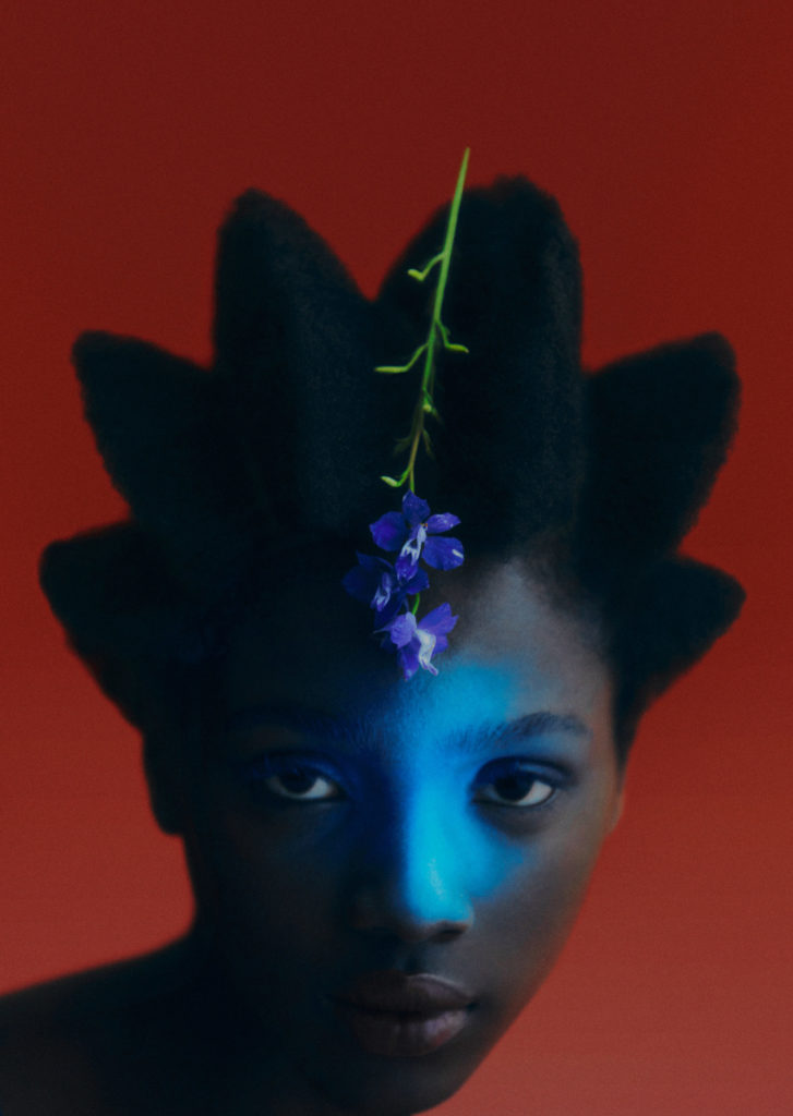 Fresh_Stems_01