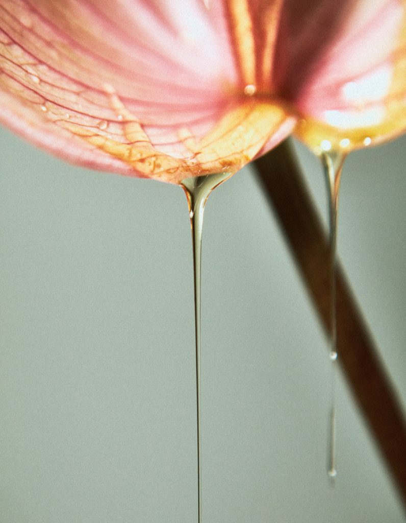 Body Oil by Herbivore Citrine.