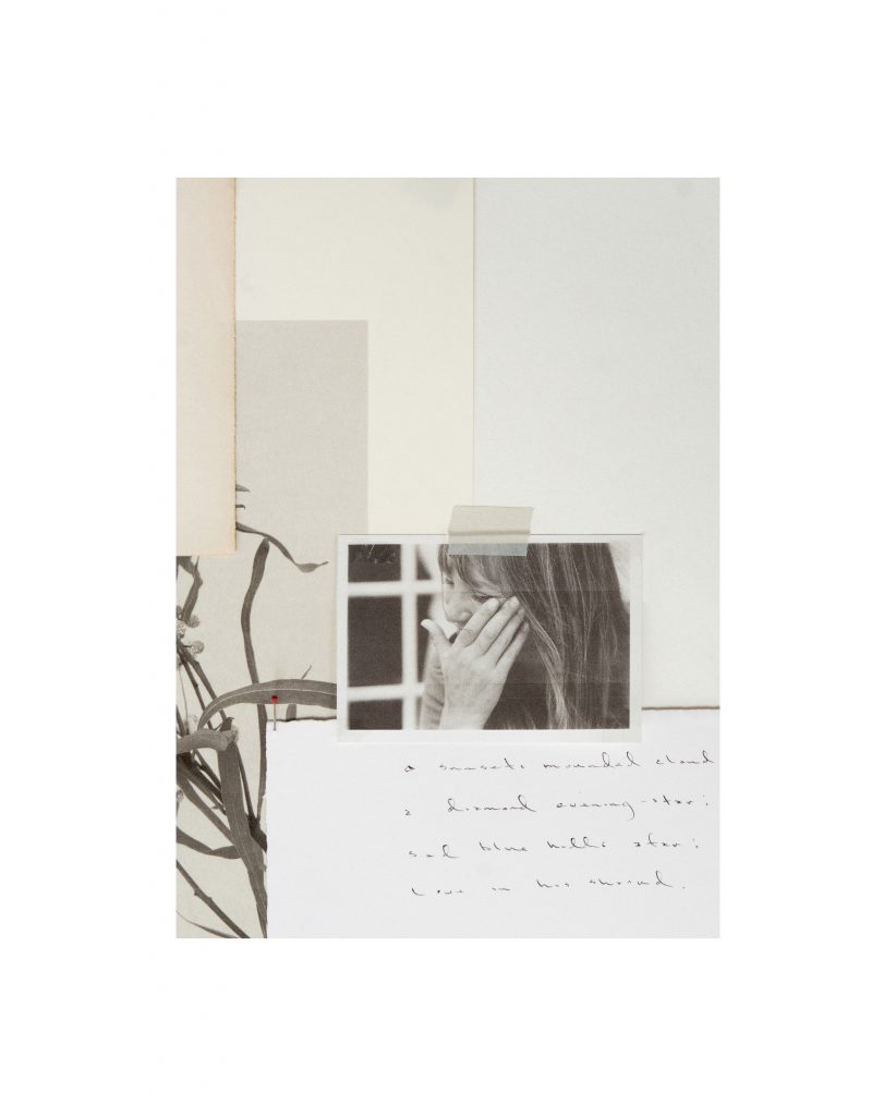 8_Clippings_07-822x1024