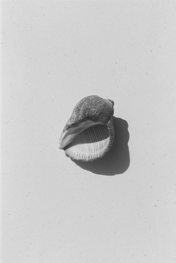 How_to_Become_a_Fossil-2000x2984
