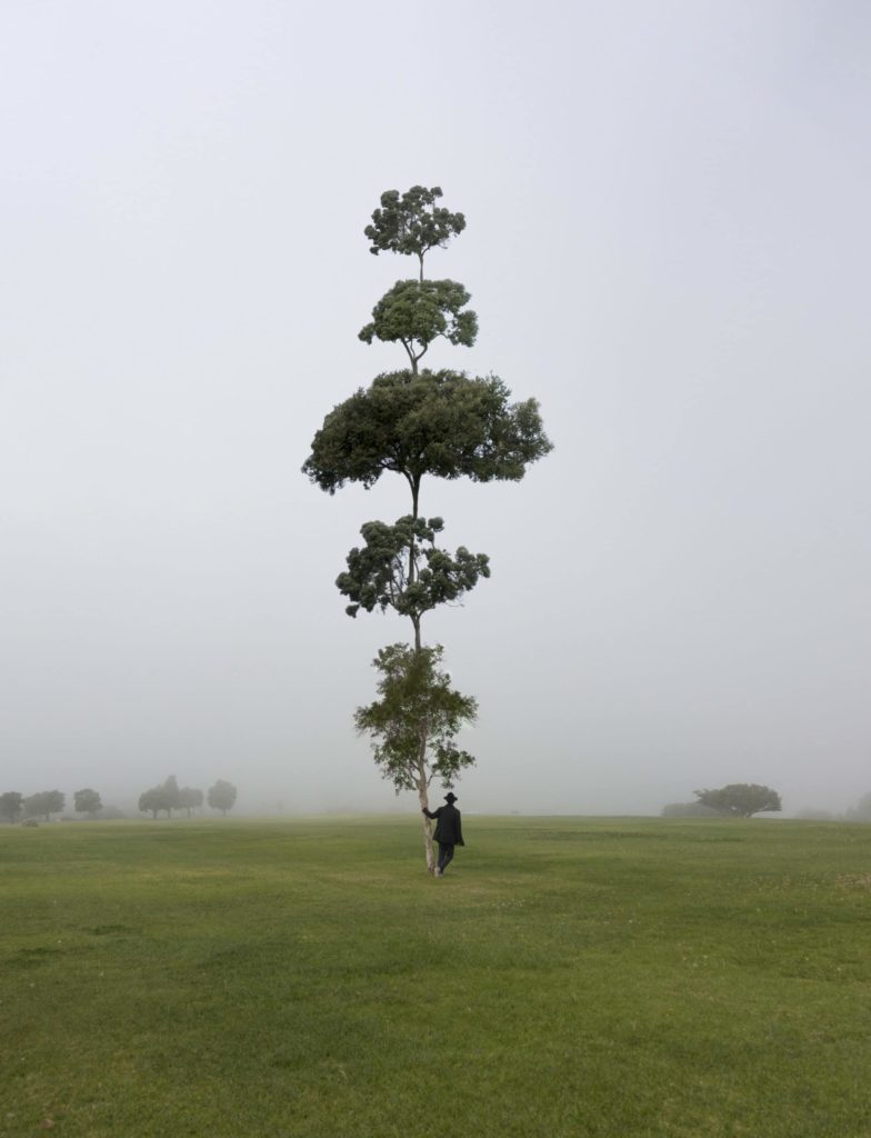 The_Giving_Tree_01-2000x2612